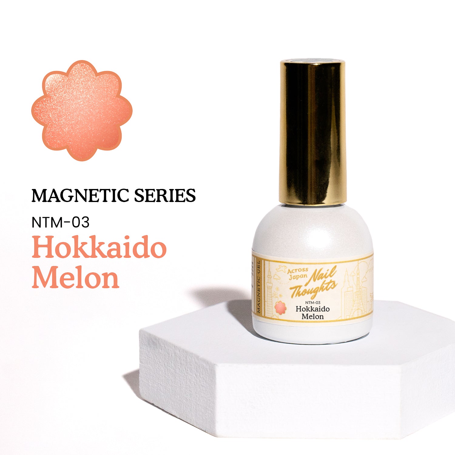 Hokkaido Melon NTM-03