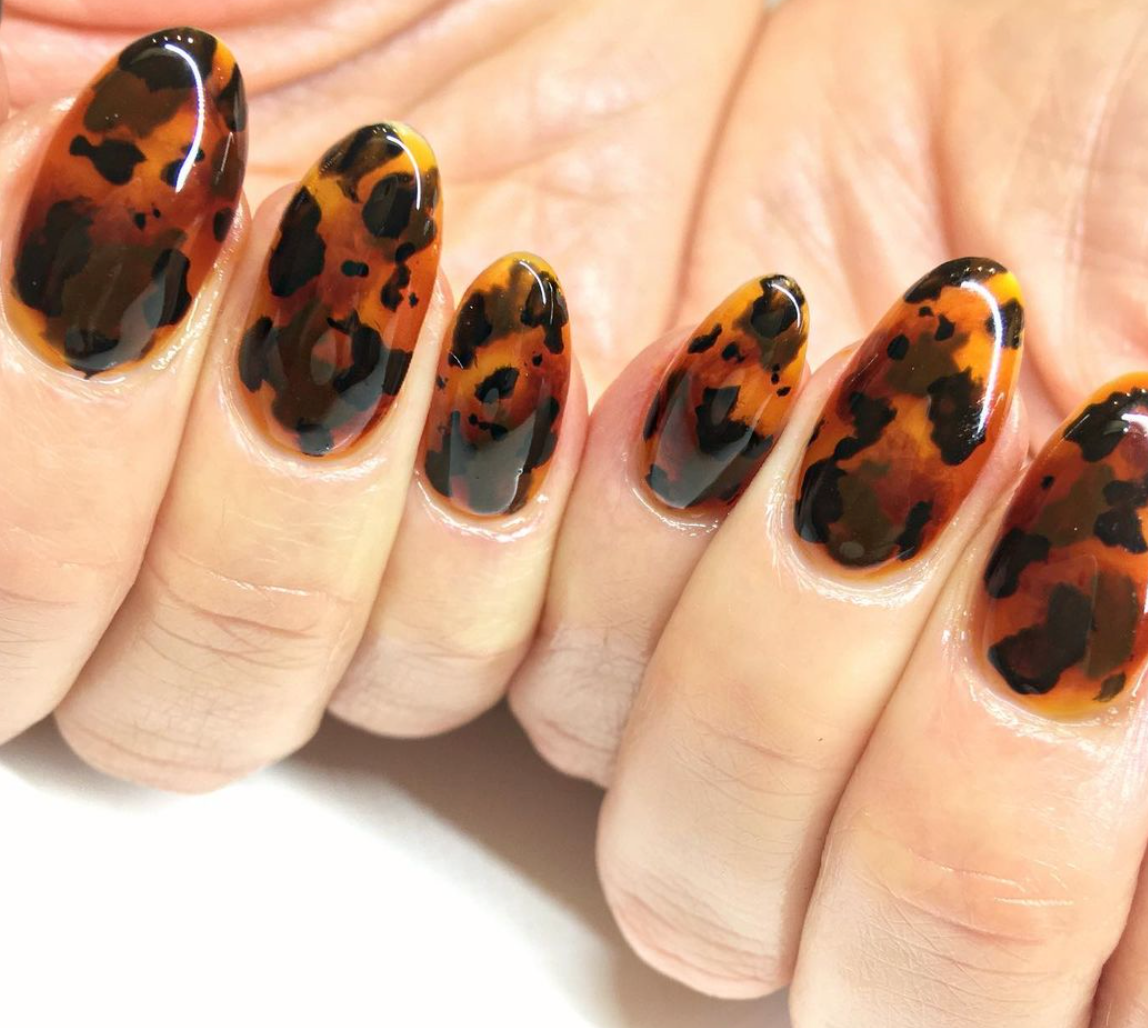 Tortoise Shell Color Gel Design Kit