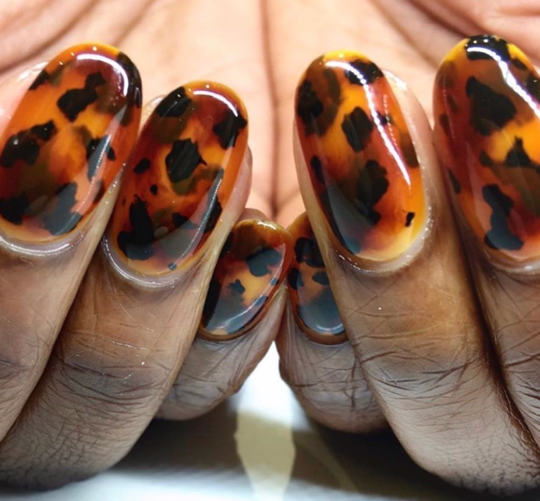 Tortoise Shell Color Gel Design Kit