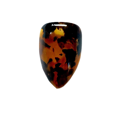 Tortoiseshell NT-12