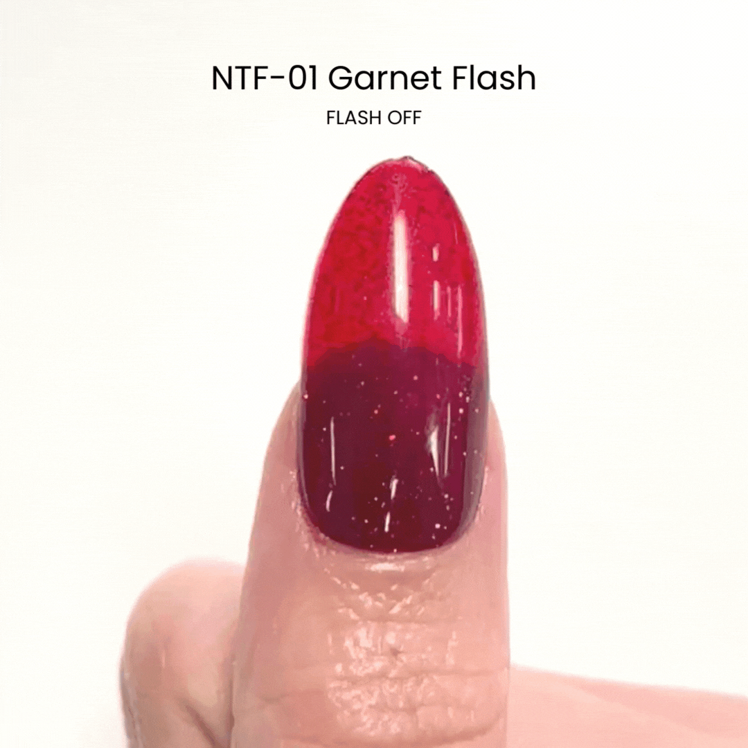 Garnet Flash NTF-01