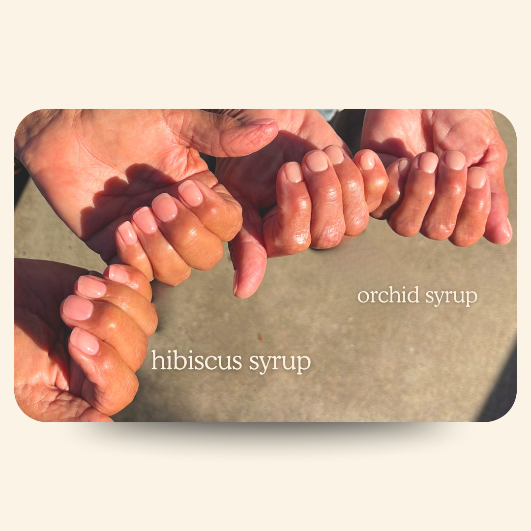 Hibiscus Syrup NT-96