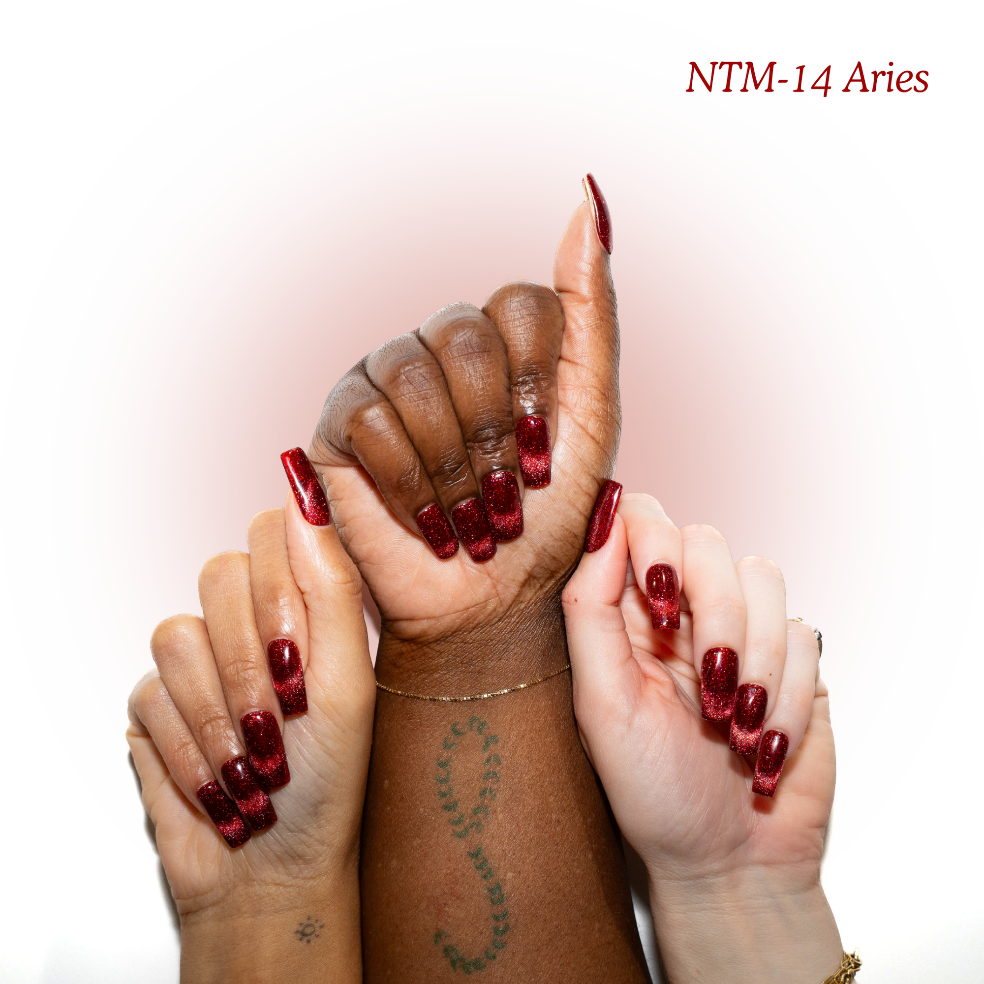 NTM-14 Aries