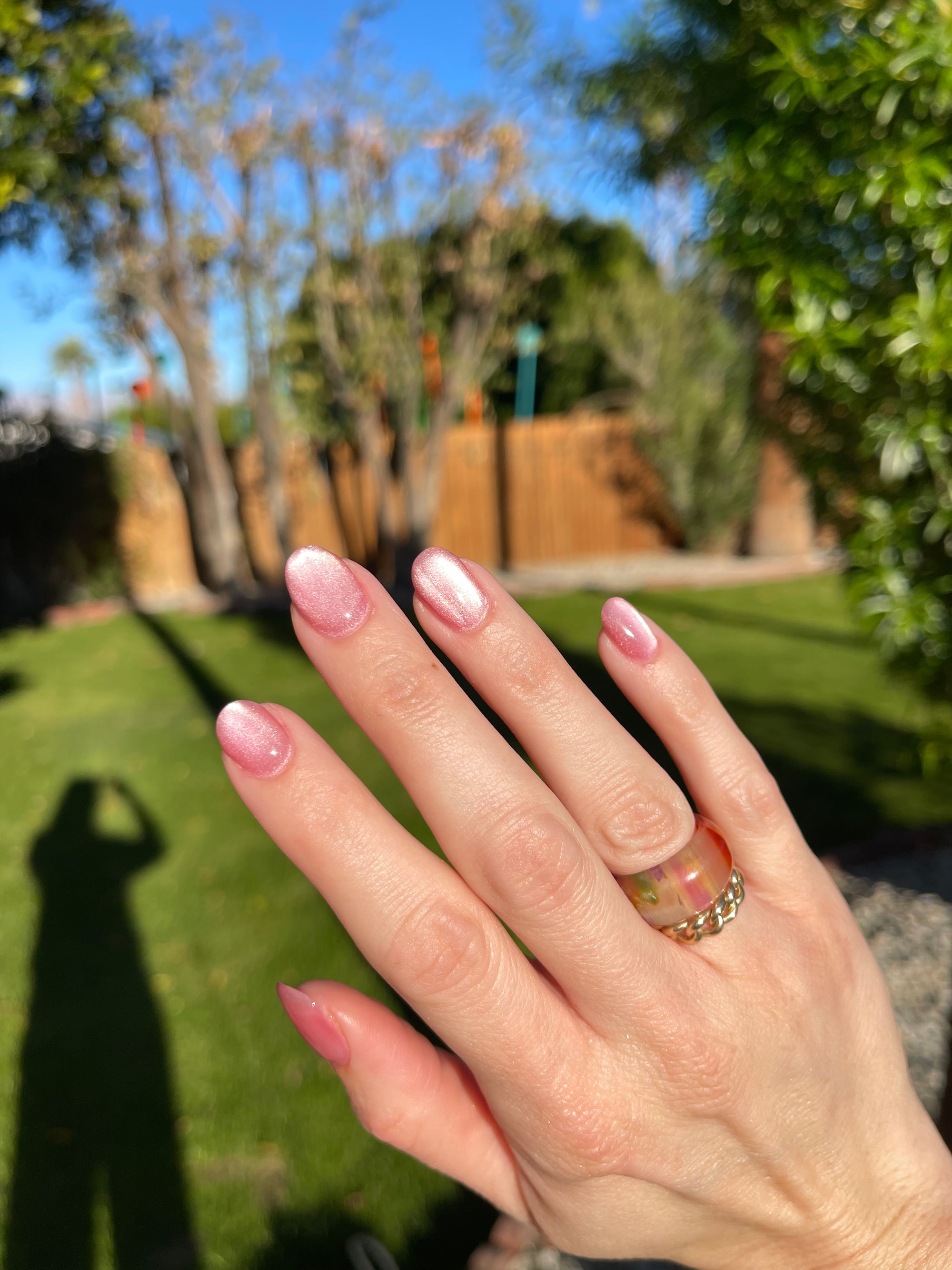 Sakura Stroll NTM-01