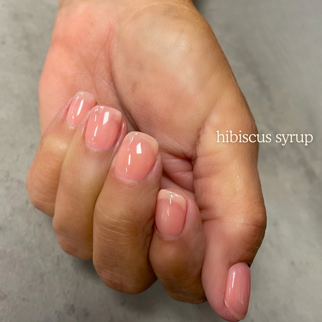 Hibiscus Syrup NT-96