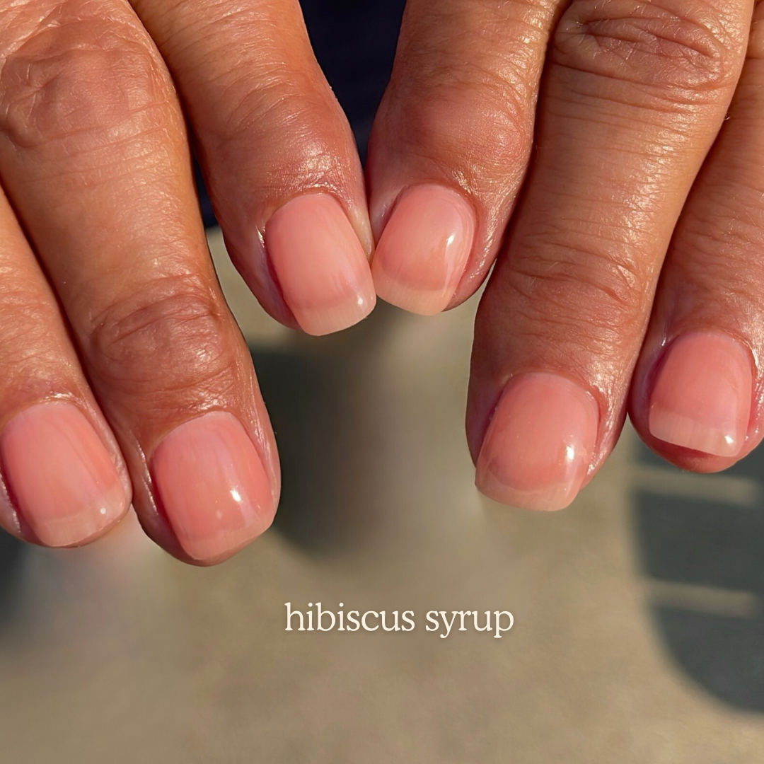 Hibiscus Syrup NT-96