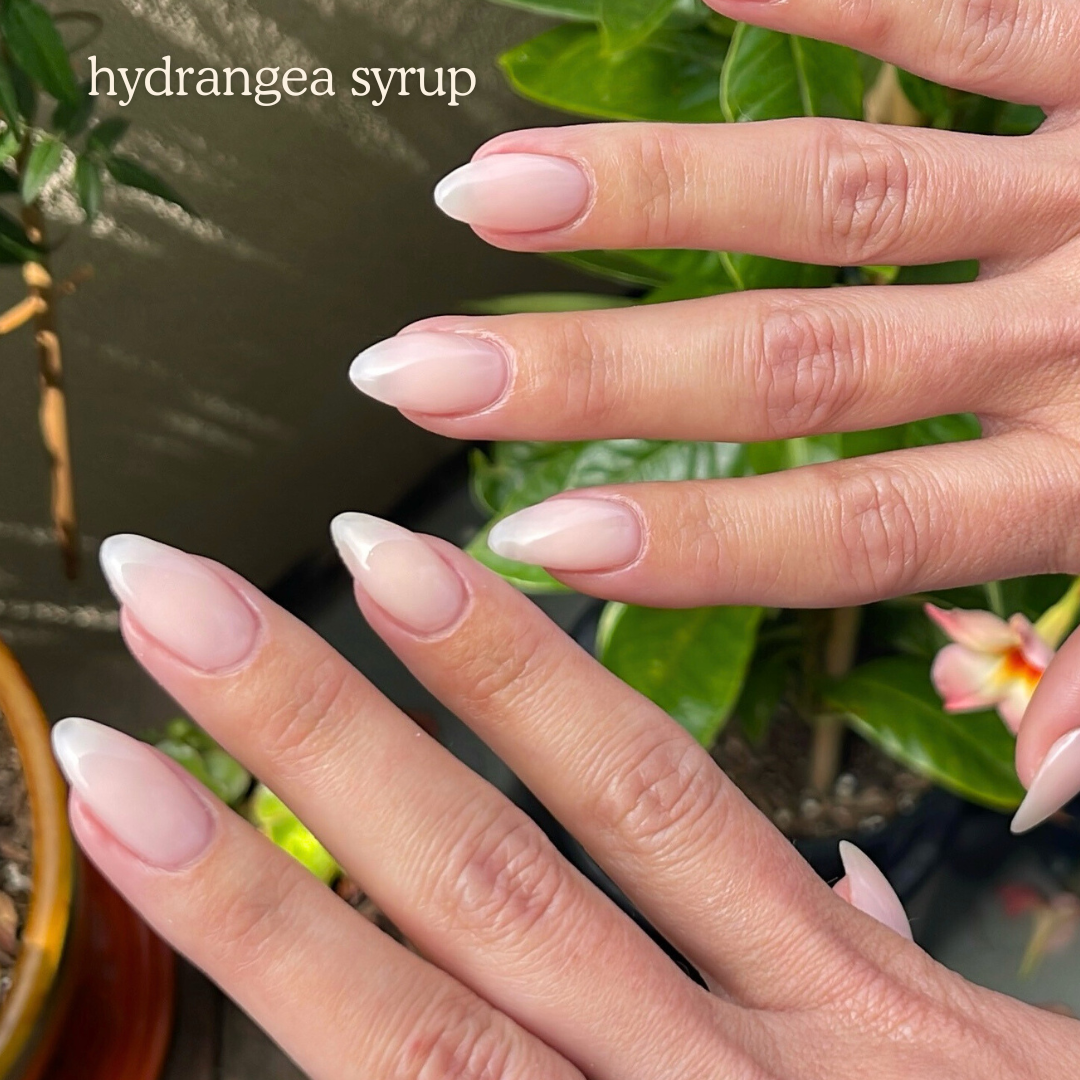 Hydrangea Syrup NT-93