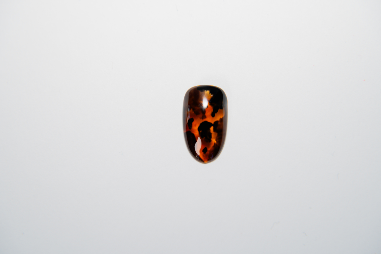 TORTOISE SHELL COLOR GEL DESIGN KIT – Nail Thoughts
