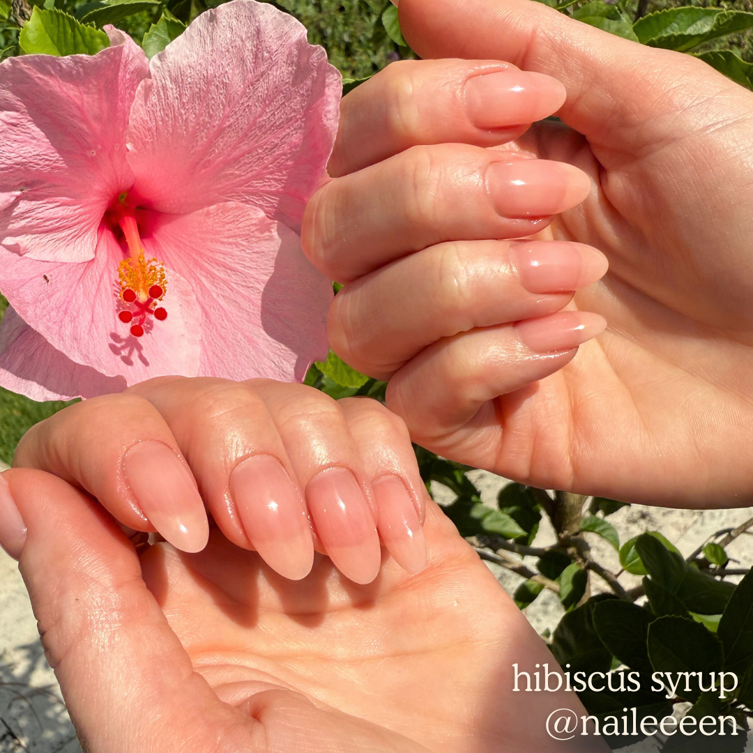 Hibiscus Syrup NT-96